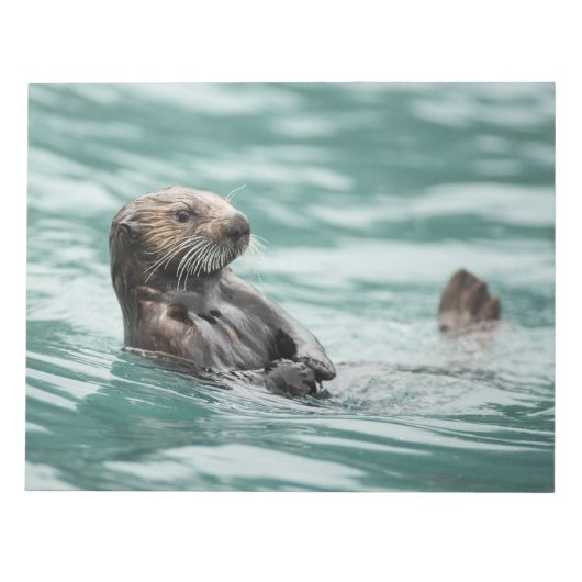 Seeotter Notizblock (Vorderseite)