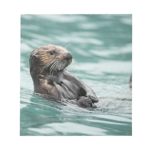 Seeotter Notizblock (Vorderseite)