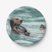 Seeotter Pappteller (Vorderseite)