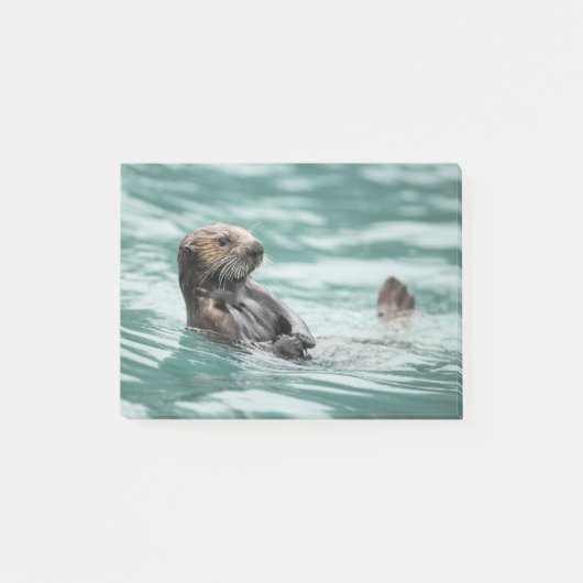 Seeotter Post-it Klebezettel (Vorderseite)