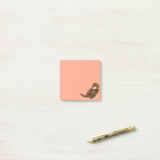 Seeotter Post-it Klebezettel (Auf Schreibtisch)