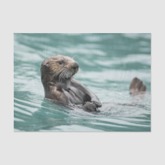 Seeotter Seidenpapier