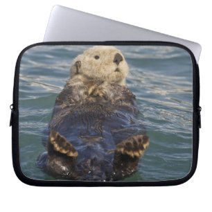 Seeotter spielen auf Eisbergen am Surprise Inlet Laptopschutzhülle