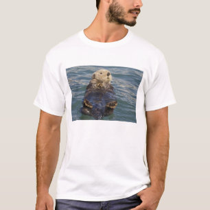 Seeotter spielen auf Eisbergen am Surprise Inlet T-Shirt
