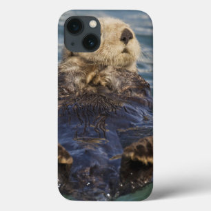 Seeotter spielen auf Eisbergen im Surprise Inlet Case-Mate iPhone Hülle