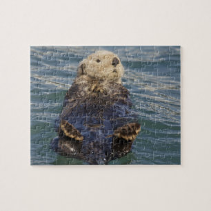 Seeotter spielen auf Eisbergen im Surprise Inlet Puzzle