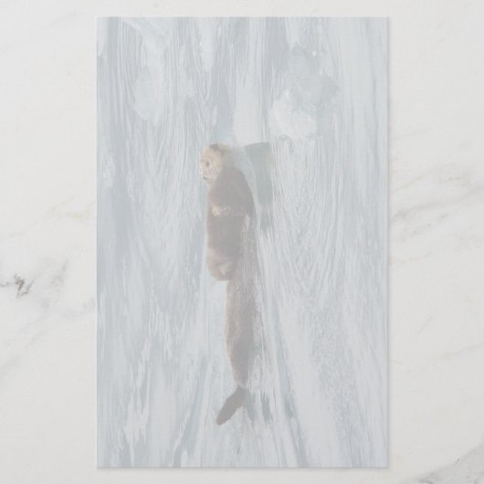 Seeotter u. Welpe Briefpapier (Vorderseite)