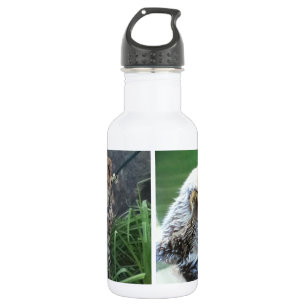 Seeotter- und Gepardjunges Trinkflasche