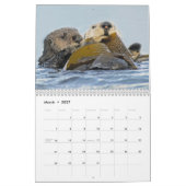 Seeotter und Wandkalender des Siegel-2017 - wild (Mär 2027)