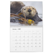 Seeotter und Wandkalender des Siegel-2017 - wild (Jan 2027)