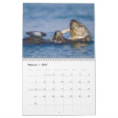 Seeotter und Wandkalender des Siegel-2017 - wild (Feb 2027)