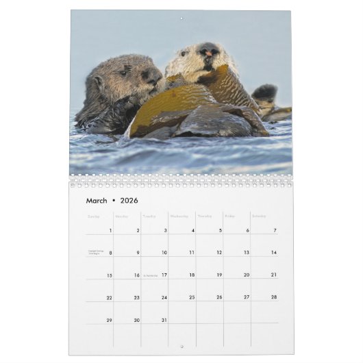 Seeotter und Wandkalender des Siegel-2018 - wild (Mär 2026)