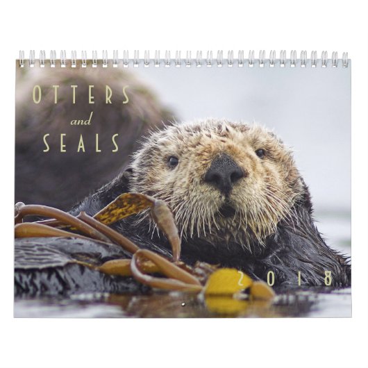 Seeotter und Wandkalender des Siegel-2018 - wild (Titelbild)