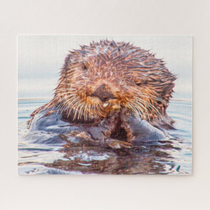 Seeotter unsere Meere Puzzle