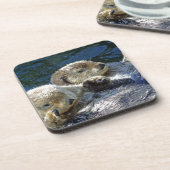 Seeotter Untersetzer (Linke Seite)