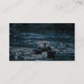 Seeotter Visitenkarte (Rückseite)