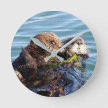 Seeottermutter und -welpe mit Kelp