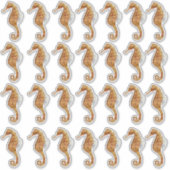 Seepferd 28 Aquarellfarben transparent gestrichen Aufkleber (Vorderseite)