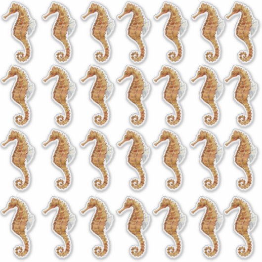 Seepferd 28 Aquarellfarben transparent gestrichen Aufkleber (Vorderseite)