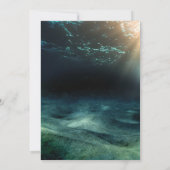 Seepferd Aquarium Seefahrt Hochzeit Einladung (Rückseite)