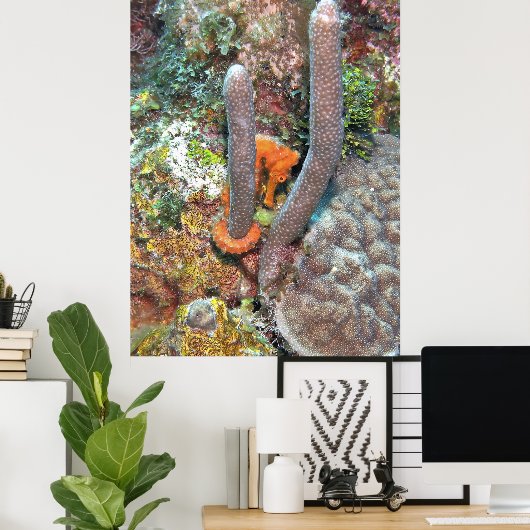 Seepferd auf Korallen Poster (Heimbüro)