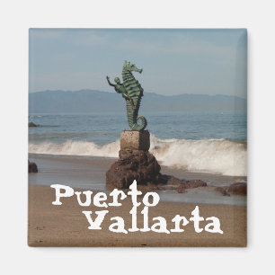 Seepferd aus Wasser; Mexiko Souvenir Magnet