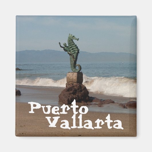 Seepferd aus Wasser; Mexiko Souvenir Magnet (Vorne)