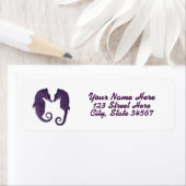 Seepferd Beach Rücksendeadresse (Insitu)