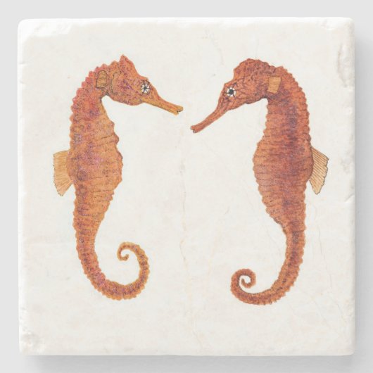 Seepferd CoasteS Steinuntersetzer (Vorderseite)