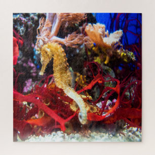 Seepferd Fantasy Puzzle