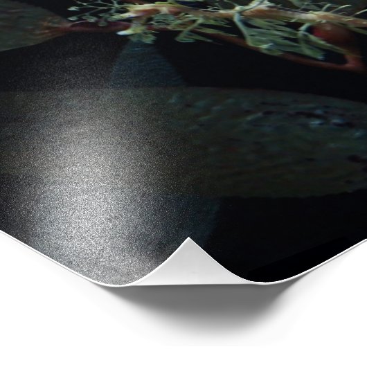 Seepferd Fotodruck (Ecke)