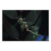 Seepferd Fotodruck (Vorne)