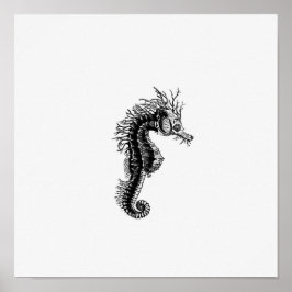 Seepferd Illustration Poster