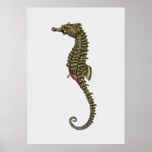 Seepferd Illustration Poster