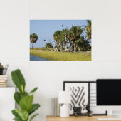 Seepferd Key Bird Rookery Print Poster (Heimbüro)