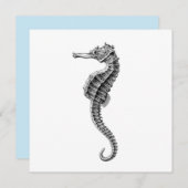 SEEPFERD MEERESWELT FLAT CARD (Vorne/Hinten)