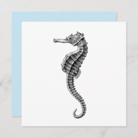 SEEPFERD MEERESWELT FLAT CARD (Vorne/Hinten)