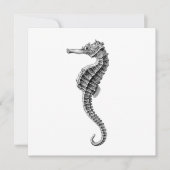 SEEPFERD MEERESWELT FLAT CARD (Vorderseite)