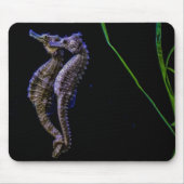 Seepferd Mousepad (Vorne)