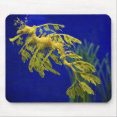 Seepferd Mousepad (Vorne)