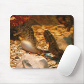 Seepferd mousepad (Mit Mouse)