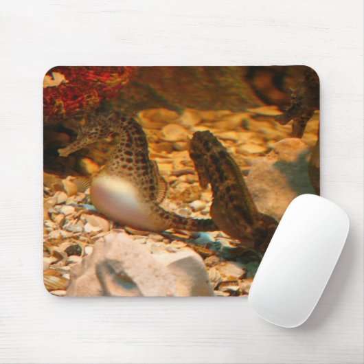 Seepferd mousepad (Mit Mouse)
