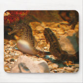 Seepferd mousepad (Vorne)