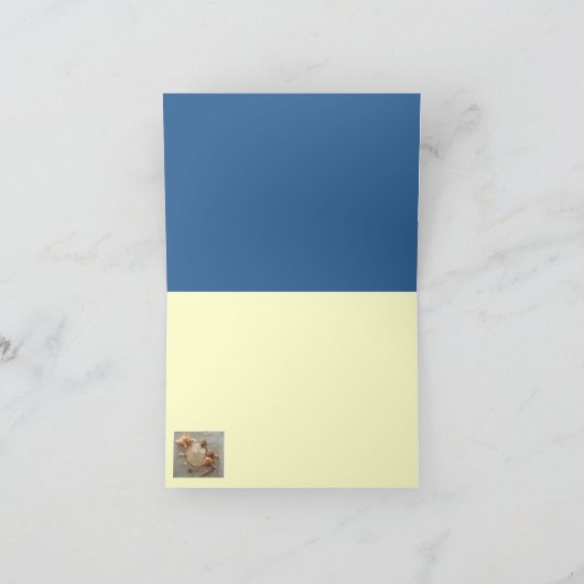 Seepferd-Note-Karte (Innenseite)