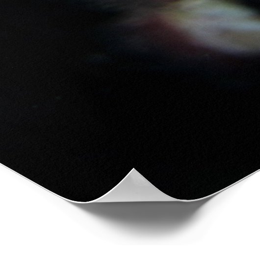 Seepferd | Pony Female Begur Poster (Ecke)