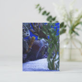 Seepferd Postkarte (Stehend Vorderseite)