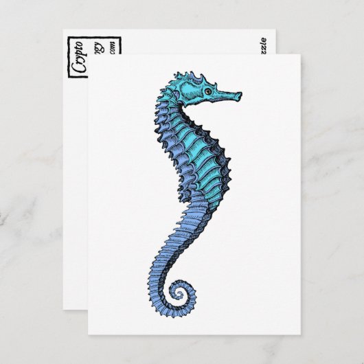 Seepferd Postkarte (Vorne/Hinten)