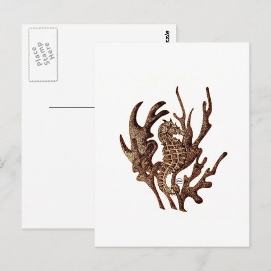 Seepferd Postkarte (Vorne/Hinten)