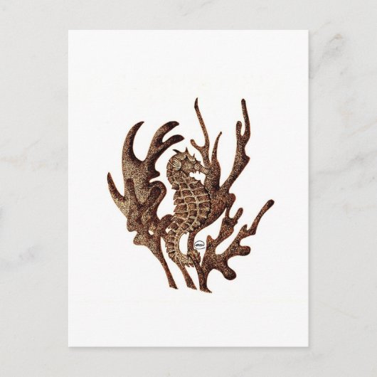 Seepferd Postkarte (Vorderseite)