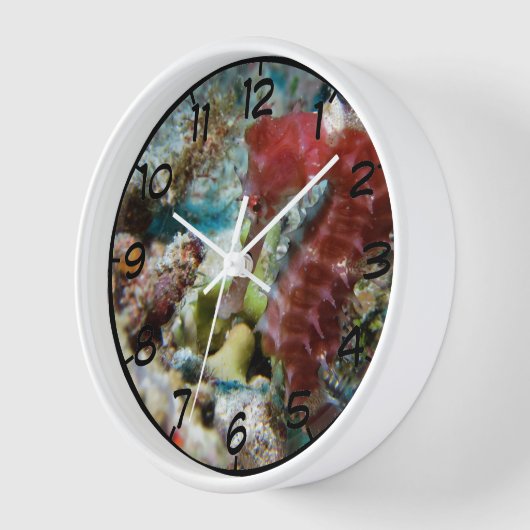 Seepferd-Rundschalenuhr Uhr (Winkel)